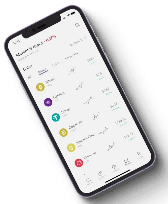 Yieldario financial analysis